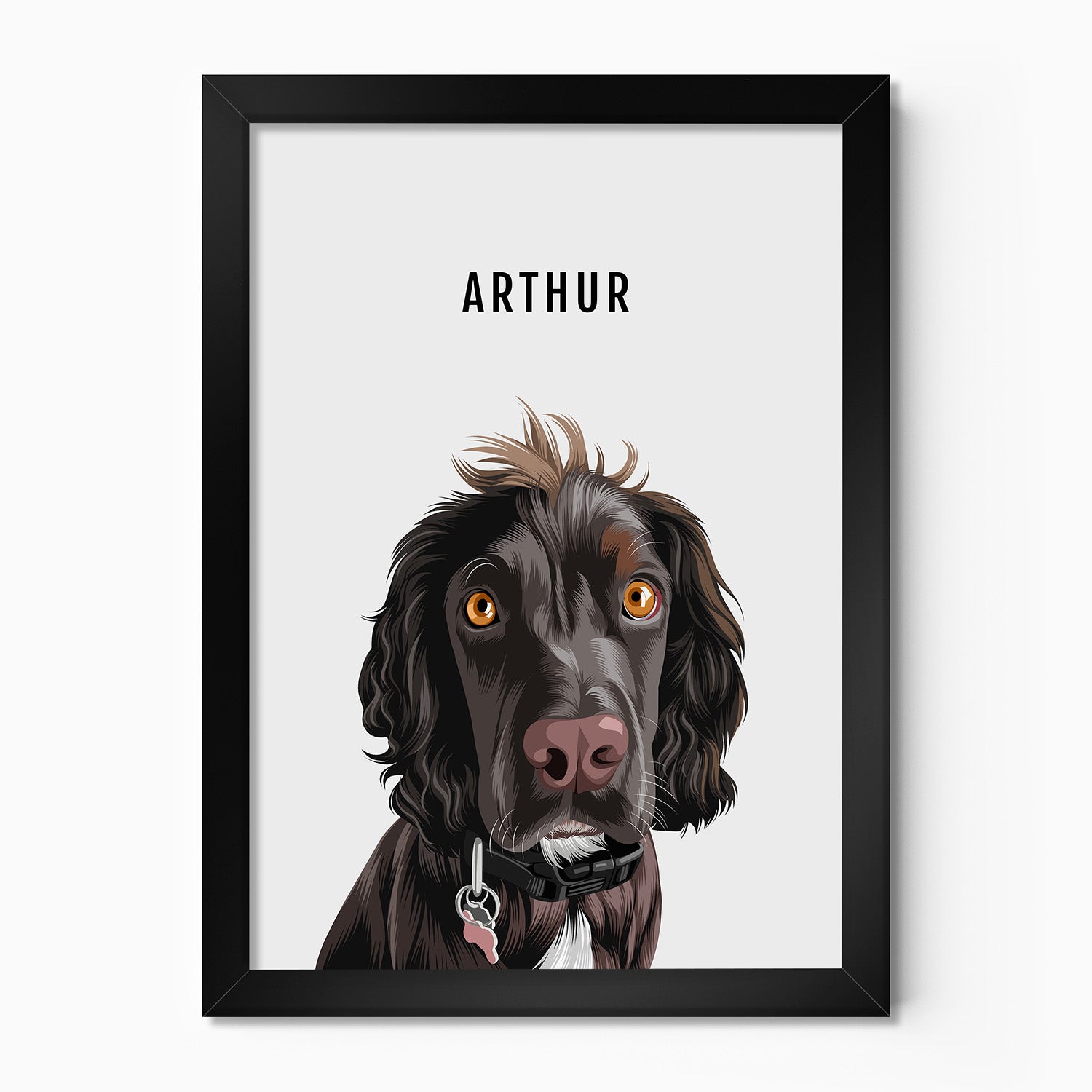 Personalised dog portrait – hand-drawn from customer photo. Chocolate spaniel