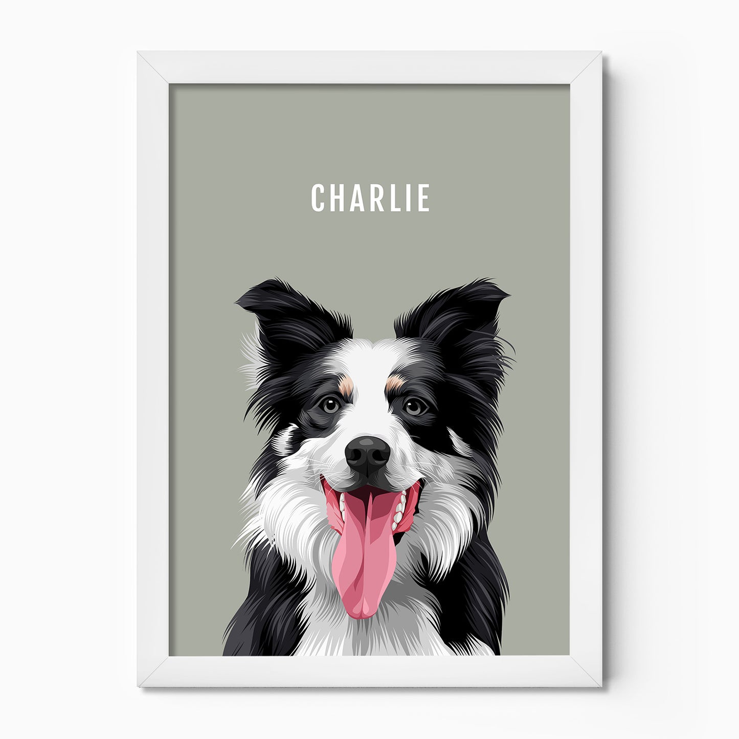 Personalised dog portrait – hand-drawn from customer photo. sheep dog, collie
